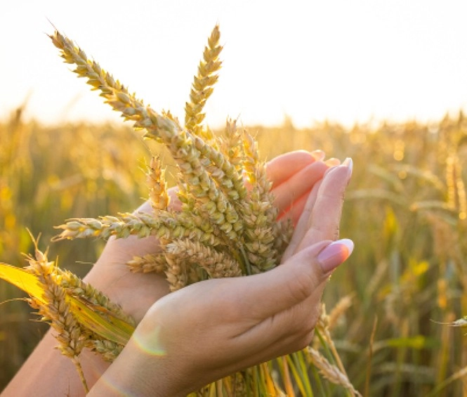 Loading content, please wait...